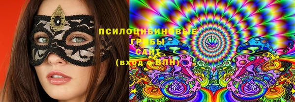 прущая мука Алзамай